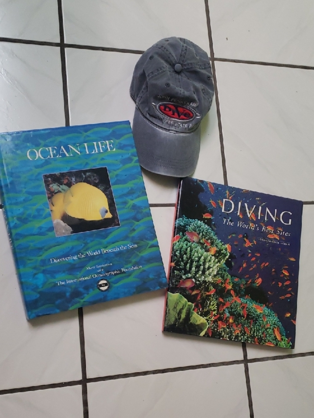 Brand new coffee table books "Diving: Best Sites", "Ocean Life" , "dive" hat (3)